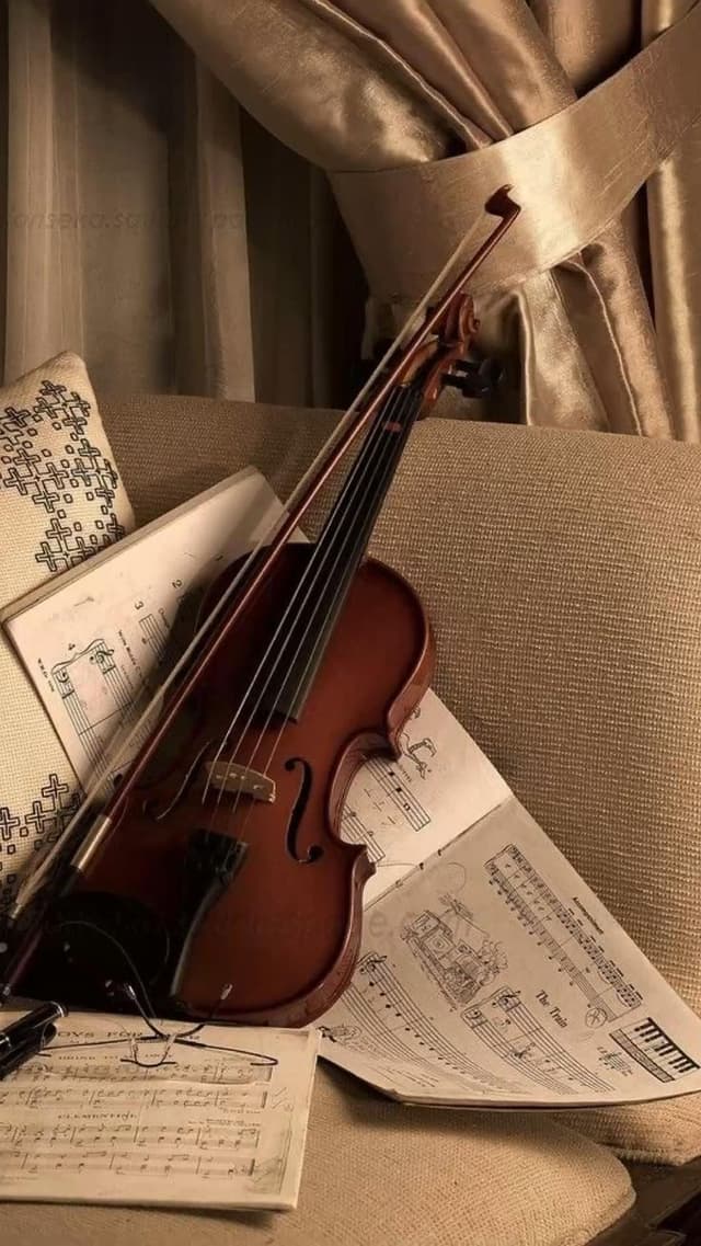 Violino